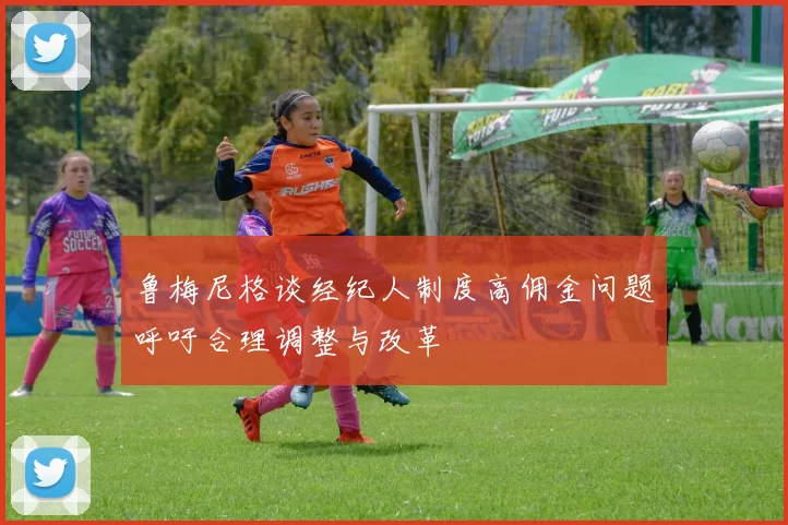鲁梅尼格谈经纪人制度高佣金问题呼吁合理调整与改革